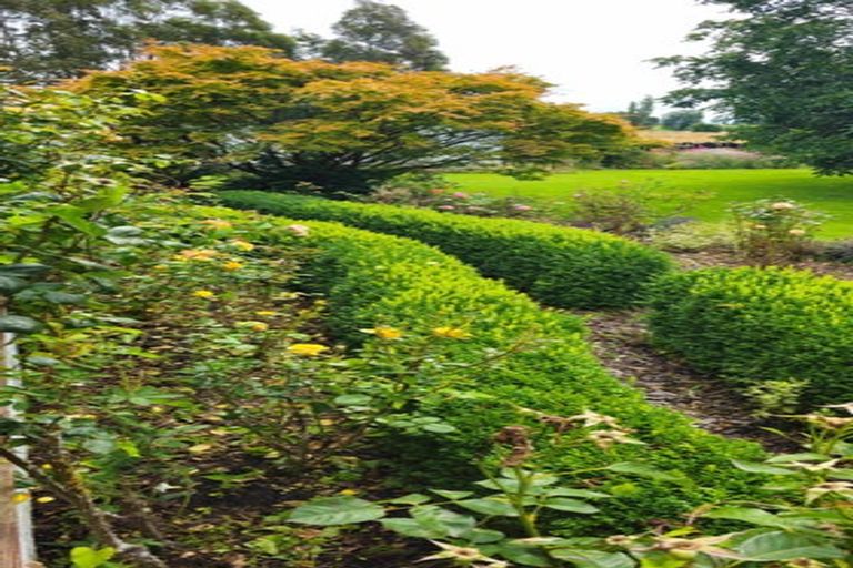 Photo of property in 8 Winter Road, Menzies Ferry, Wyndham, 9891