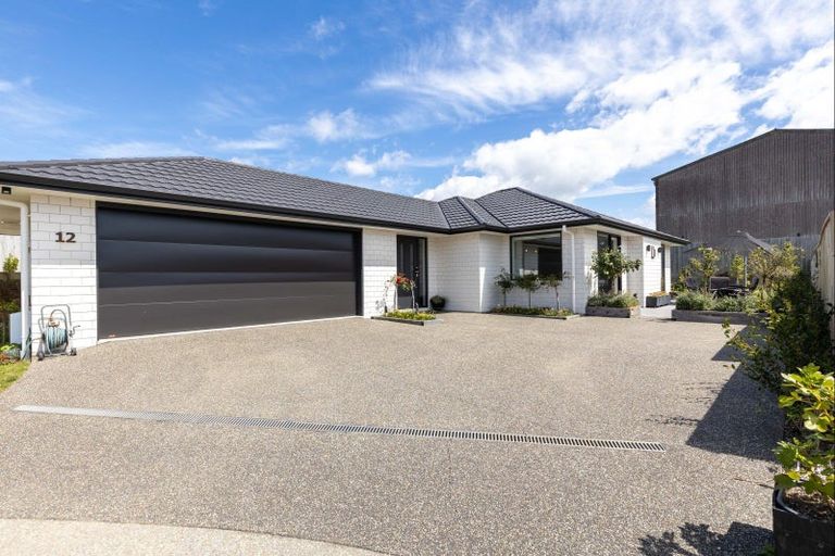 Photo of property in 12 Rehua Place, Waiwhakaiho, New Plymouth, 4312