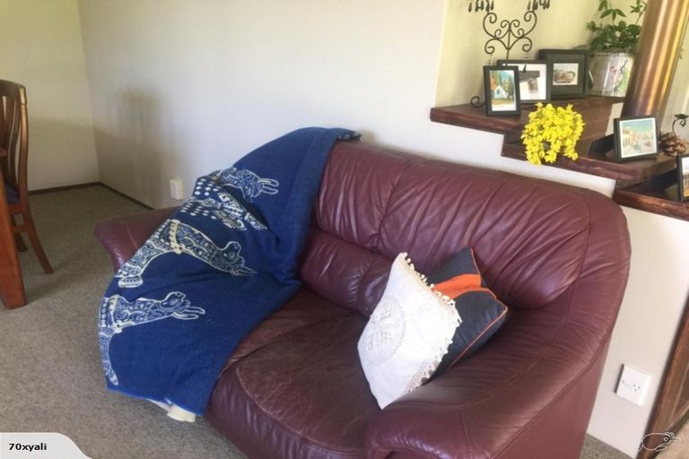 Photo of property in 15 Ness Street, Naseby, 9396