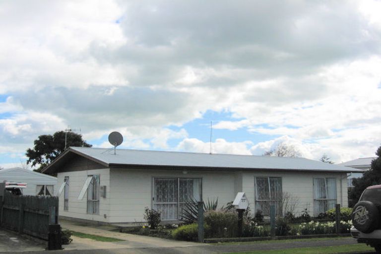 Photo of property in 20 Strathmore Avenue, Levin, 5510