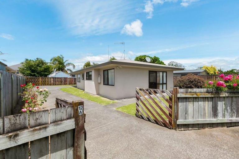 Photo of property in 12a Watling Street, Gate Pa, Tauranga, 3112