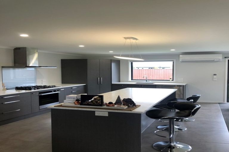 Photo of property in 20 Asheridge Place, Wigram, Christchurch, 8025