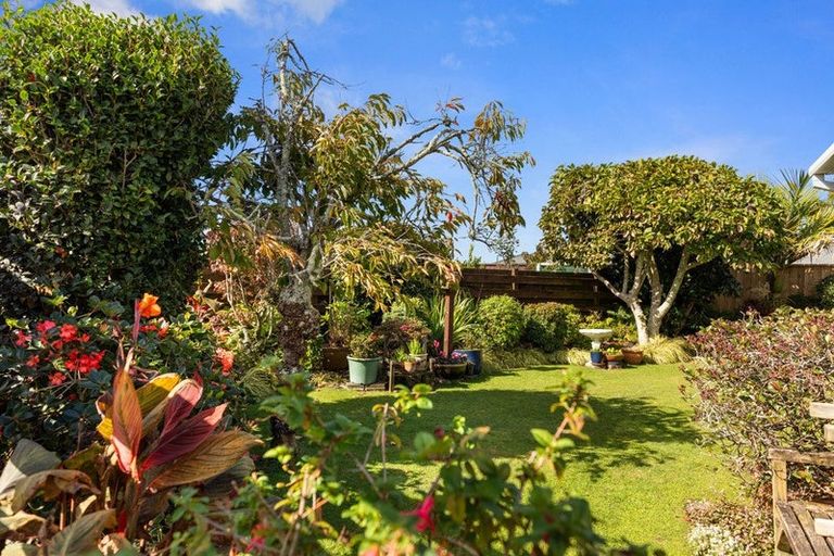 Photo of property in 26b Hibiscus Avenue, Mount Maunganui, 3116