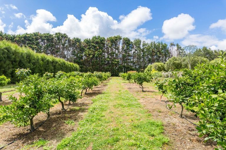 Photo of property in 118 Wiroa Road, Kerikeri, 0293