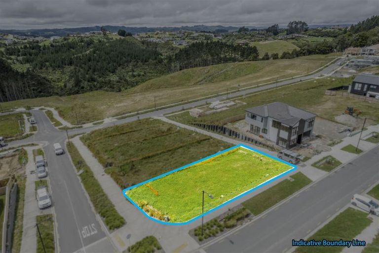 Photo of property in 65 Michael Bosher Way, Flat Bush, 2019