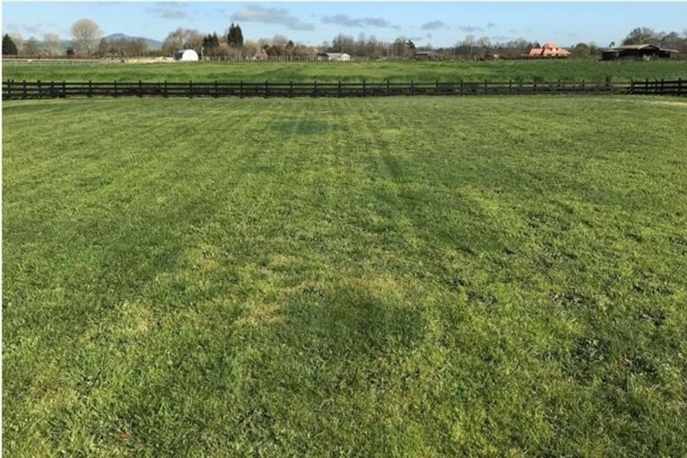 Photo of property in 24 Eldonwood Drive, Matamata, 3400