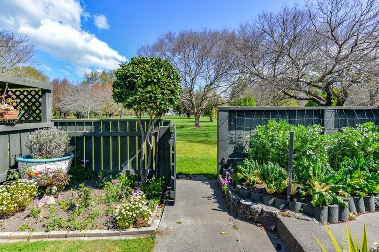 Photo of property in 115 Flaxmere Avenue, Flaxmere, Hastings, 4120