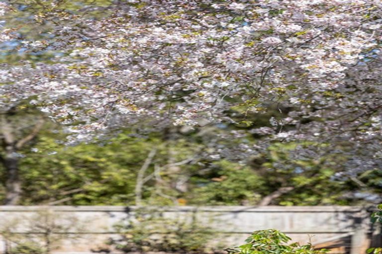 Photo of property in 37a Balrudry Street, Avonhead, Christchurch, 8042