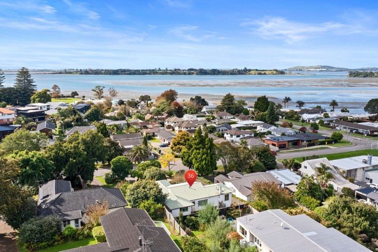 Photo of property in 36 Fourteenth Avenue, Tauranga South, Tauranga, 3112