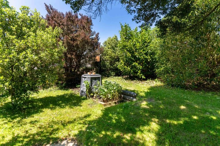 Photo of property in 55 Ann Street, Kaikorai, Dunedin, 9010