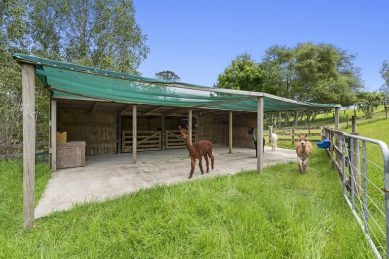 Photo of property in 167 Escott Road, Dairy Flat, 0794