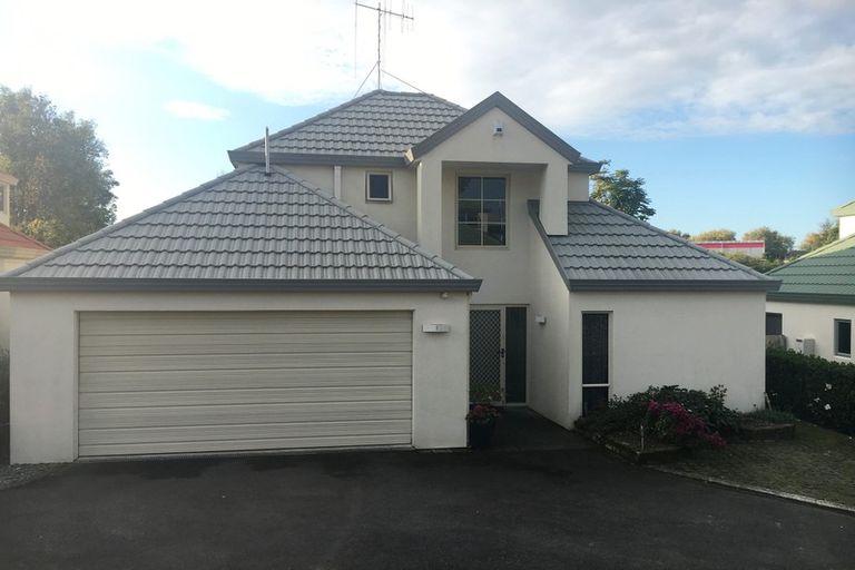 Photo of property in 6/17 Pope Terrace, Leamington, Cambridge, 3432