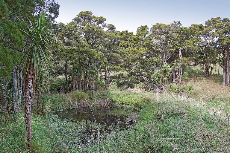 Photo of property in 280c Baldrock Road, Kaiwaka, Maungaturoto, 0587