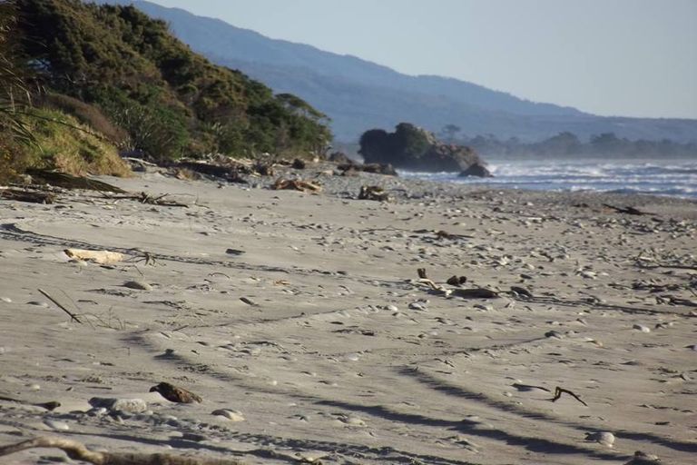 Photo of property in 3 Corbett Street, Hector, 7822