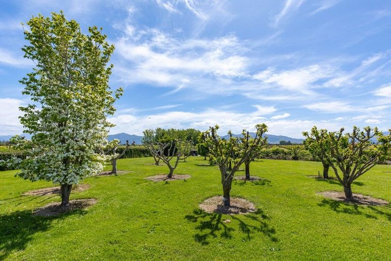 Photo of property in 56 Thomsons Ford Road, Thomsons Ford, Blenheim, 7272