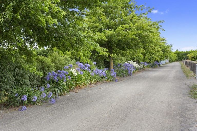 Photo of property in 305 Lehmans Road, Fernside, Rangiora, 7471