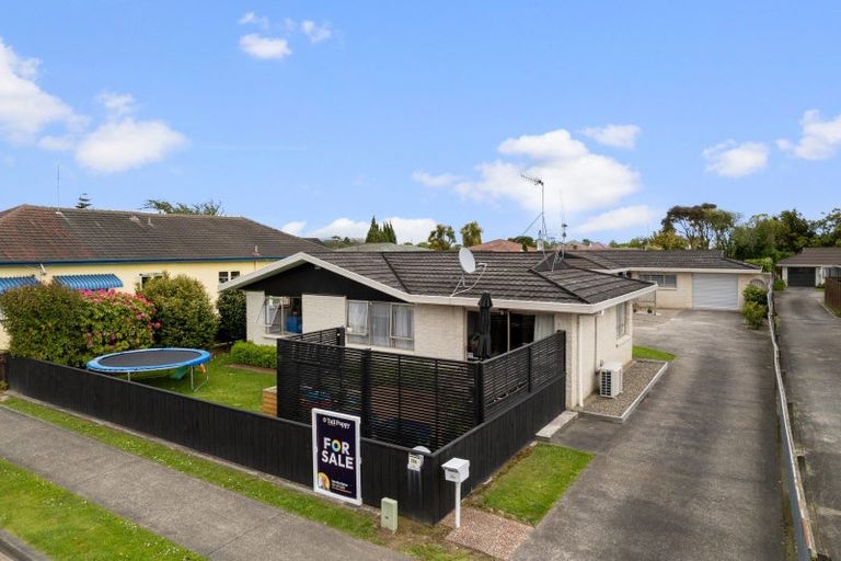 Photo of property in 38a Wood Street, Takaro, Palmerston North, 4410