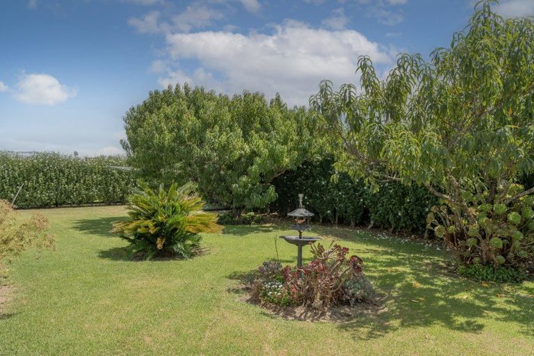 Photo of property in 24 Springbok Avenue, Whitianga, 3510