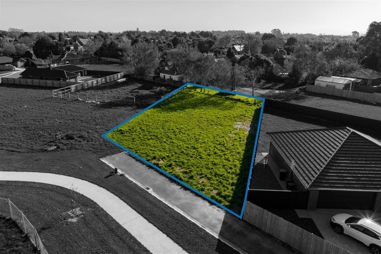 Photo of property in 14 Cleaver Street, Woodend, 7610