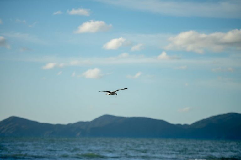 Photo of property in 52 Ames Street, Paekakariki, 5034