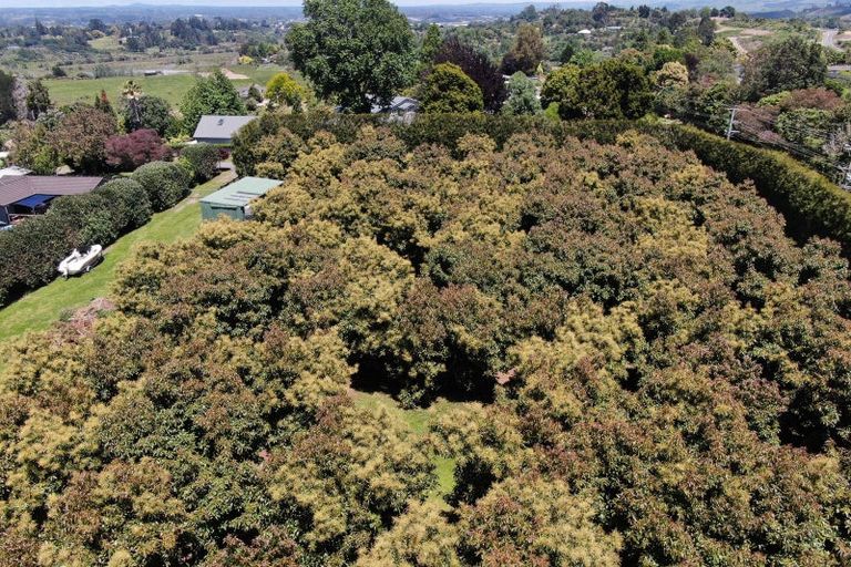 Photo of property in 284 Cambridge Road, Bethlehem, Tauranga, 3110