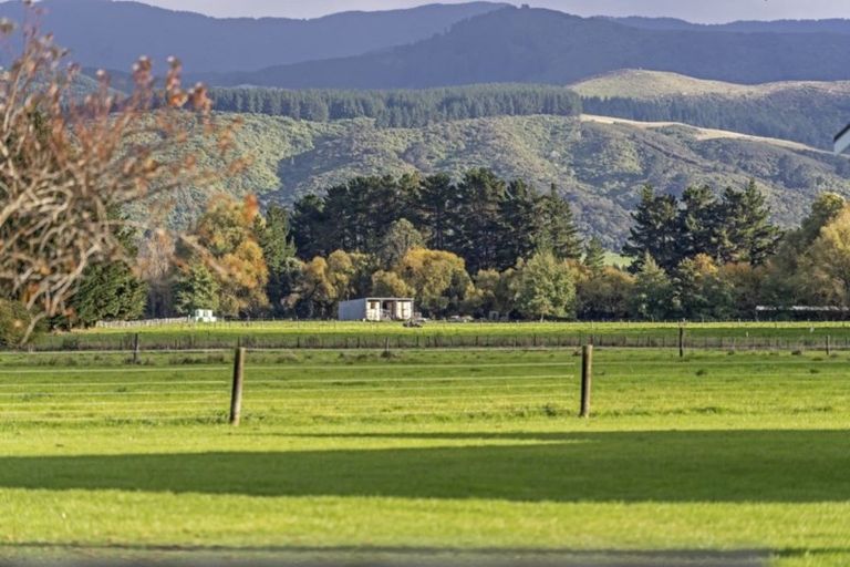 Photo of property in 52 Lincoln Road, Carterton, 5713