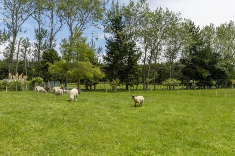 Photo of property in 96 Peers Road, Omanawa, Tauranga, 3171