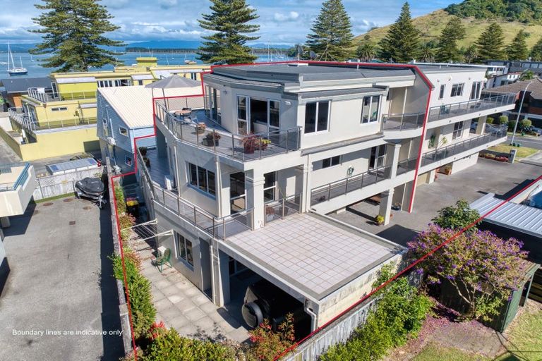 Photo of property in 8b Pacific Avenue, Mount Maunganui, 3116