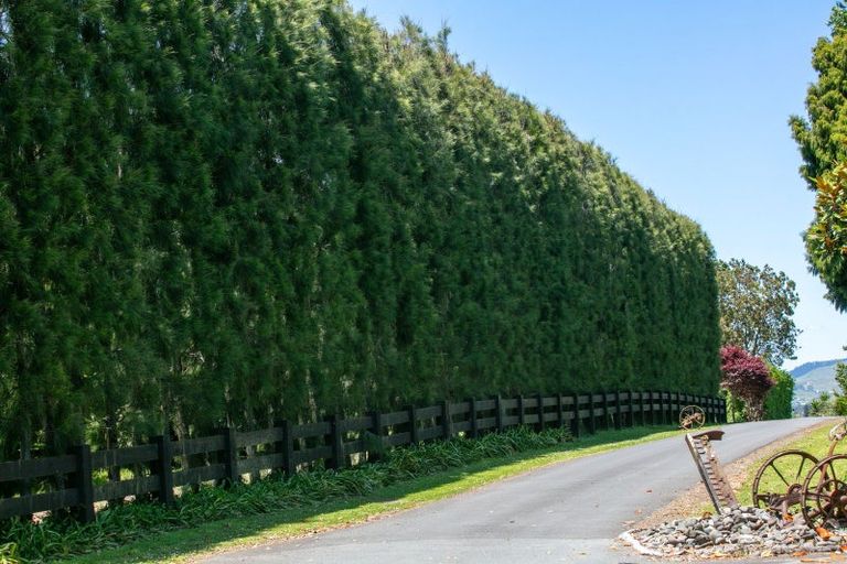 Photo of property in 284 Cambridge Road, Bethlehem, Tauranga, 3110