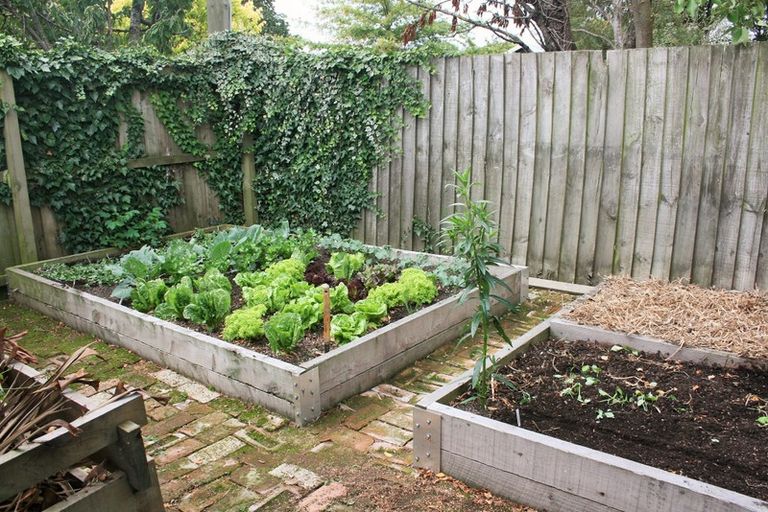 Photo of property in 31 Prossers Road, Saint Martins, Christchurch, 8022