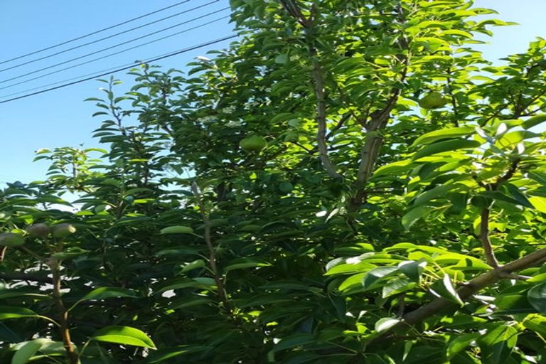 Photo of property in 1/27 Ethne Street, Mairehau, Christchurch, 8013