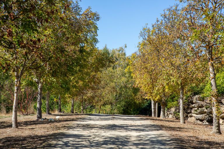 Photo of property in 67 Ferris Road, Springvale, Alexandra, 9393