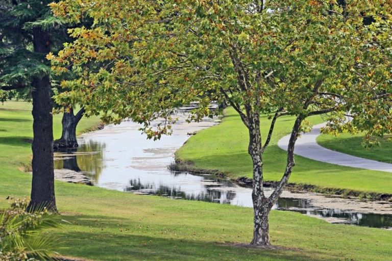 Photo of property in 1 Douglas Mclean Avenue, Marewa, Napier, 4110