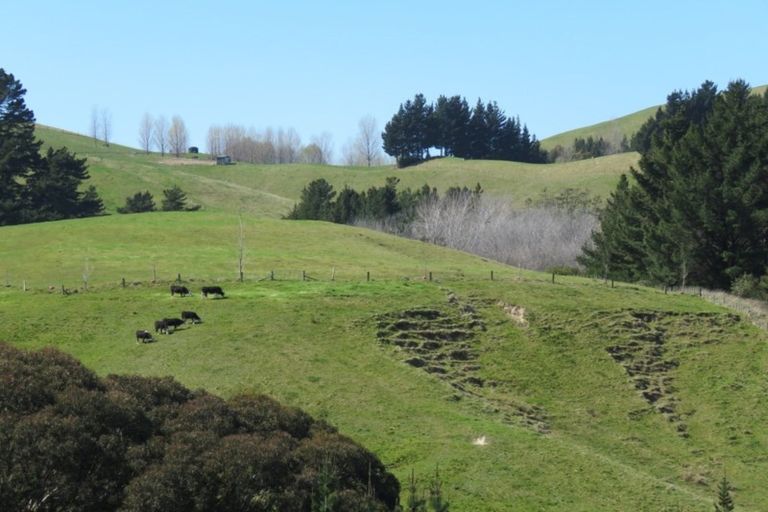 Photo of property in 416 Apley Road, Puketapu, Napier, 4184