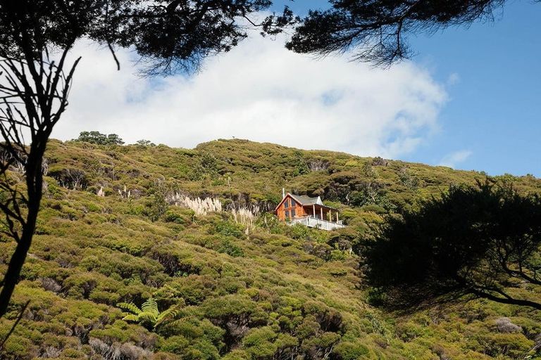 Photo of property in 132 Lone Kauri Road, Karekare, New Lynn, 0772