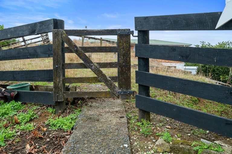 Photo of property in 19 Tui Street, Piopio, 3912