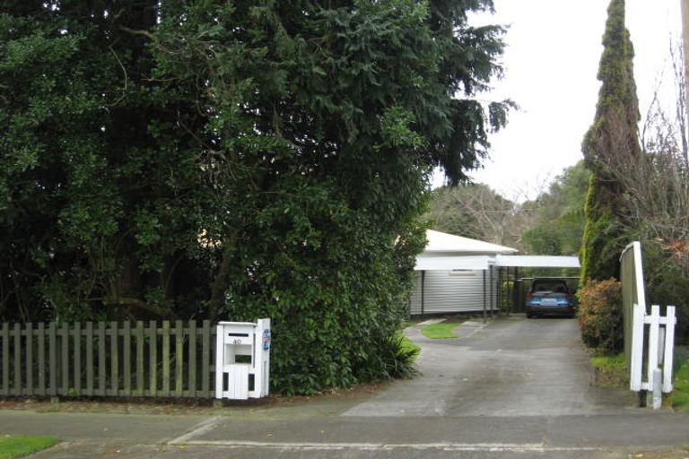 Photo of property in 40 Chester Street, Levin, 5510