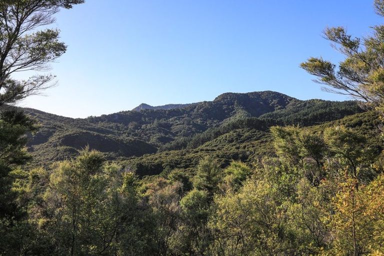 Photo of property in 896 Tuateawa Road, Waikawau, Coromandel, 3584