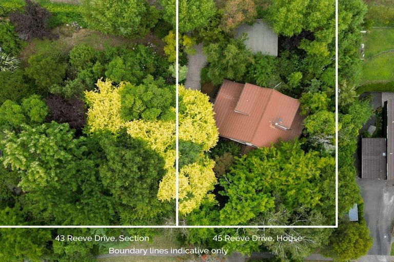 Photo of property in 45 Reeve Drive, Havelock North, 4130