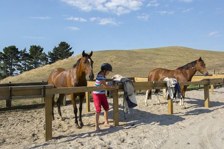 Photo of property in 49a Walden Lane, Minden, Tauranga, 3171