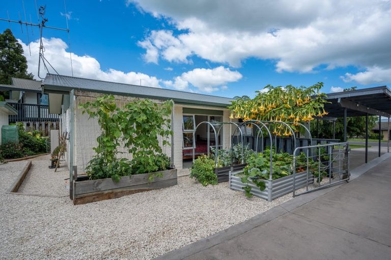 Photo of property in 558 Picquet Hill Road, Te Awamutu, 3800