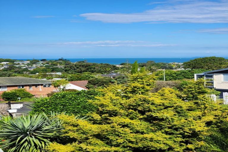Photo of property in 4 Tower Hill, Stanmore Bay, Whangaparaoa, 0930