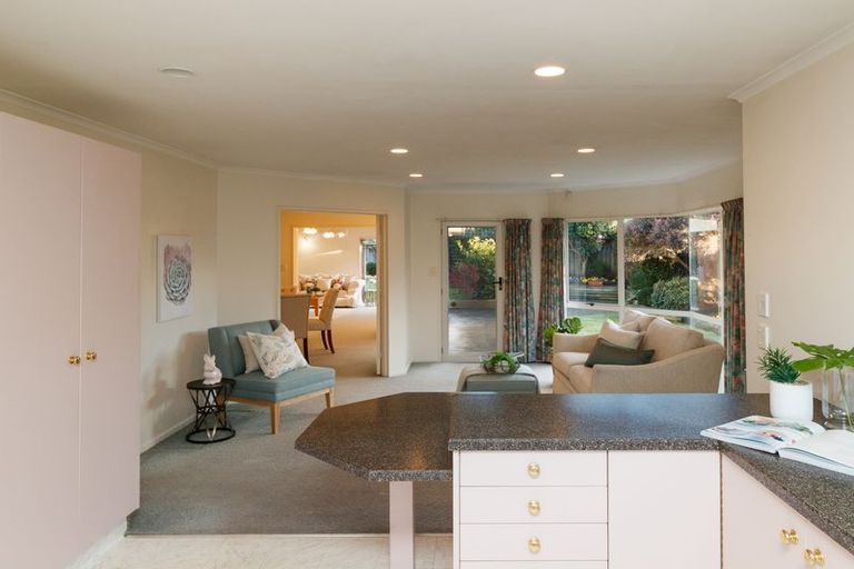 Photo of property in 14 Balcairn Place, Terrace End, Palmerston North, 4410