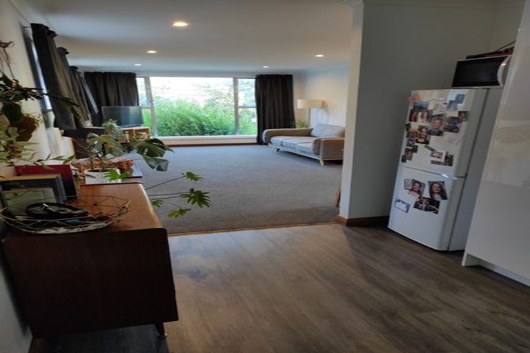 Photo of property in 155 Helensburgh Road, Wakari, Dunedin, 9010