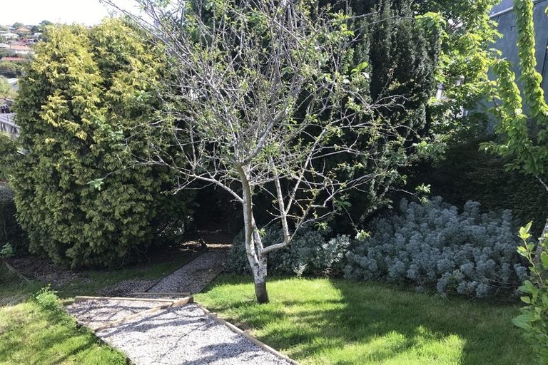 Photo of property in 6 Haig Street, Mornington, Dunedin, 9011