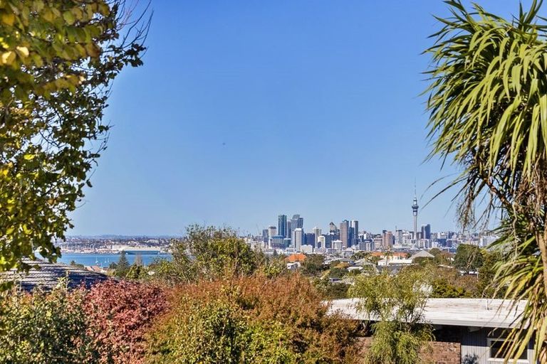 Photo of property in 17 Lydia Avenue, Northcote, Auckland, 0627