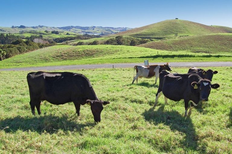 Photo of property in 16 Barnfield Road, Kaiwaka, 0573