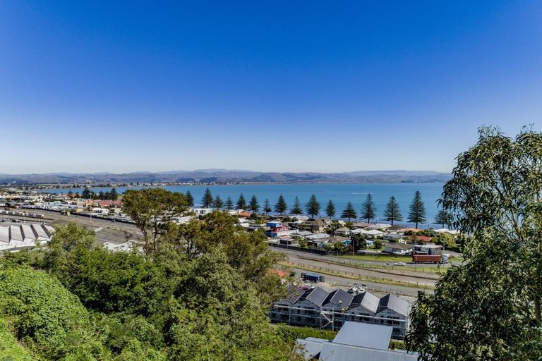 Photo of property in 14 Bay View Road, Bluff Hill, Napier, 4110