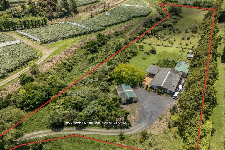 Photo of property in 44a Martray Road, Tahawai, Katikati, 3170
