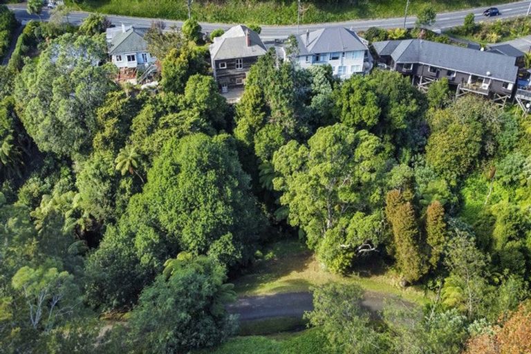 Photo of property in 44 Carrington Street, Lower Vogeltown, New Plymouth, 4310